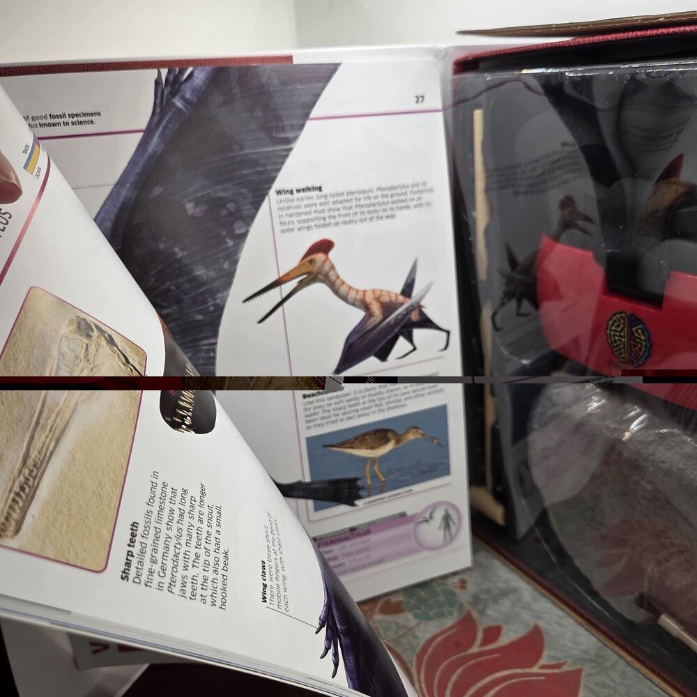 New Abacus Illustrated Interactive VR Learning Activity Set Assorted Dinosaurs - Picture 9 of 11